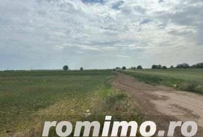 Cota 1/4 teren extravilan Gheraseni, jud. Buzau - R2070447 - 3