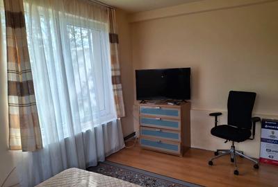 Apartament cu 3 camere decomandat, mobilat în Borhanci - 5