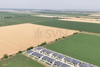 Teren Tunari - planul 2 l Padurea Tunari Teren Tunari - planul 2 l Padurea Tunari - 3