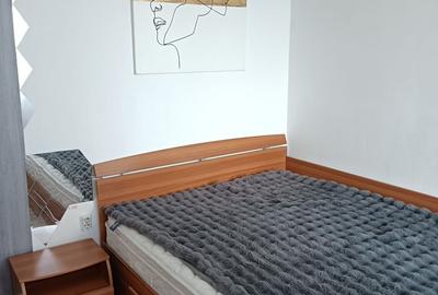 Apartament cu 2 camere semidecomandat în Sârbi - 6