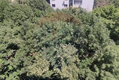 Apartament de inchiriat cu doua camere decomandate zona B... - 15