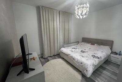 Apartament cu 3 camere, mobilat în Lăpuș - 10