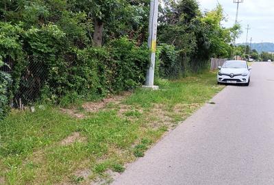 Brebu Megiesesc, casa + teren - 3