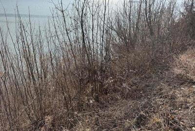 Teren intravilan Dubova 526 mp - 6