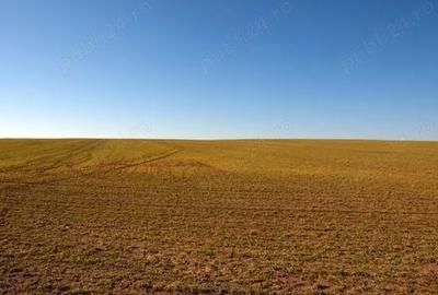 Teren de 1270000 mp, în Central - 1