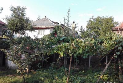 Casă cu 6 camere cu Teren 1000 Mp în Dumbrava - 8