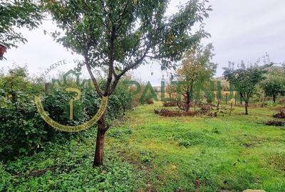 Casă singur în curte, 1.310 mp teren - Gusterița, garaj, pivniță, grădină Casă singur în curte, 1.310 mp teren - Gusterița, garaj, pivniță, grădină - 21