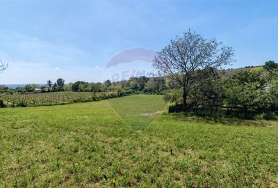 Tere cu constructie de vanzare in Urlati - 1