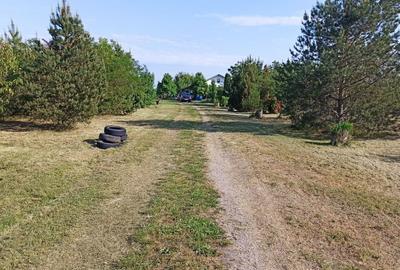 Teren de 50000 mp, în Zorile - 8