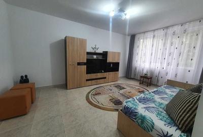 Apartament cu 2 camere decomandat în Valea Oltului - 1