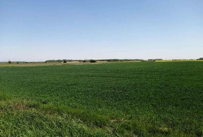 Teren de 5114 mp, în 1 Decembrie