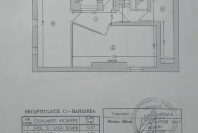 Casă individuală cu 11 camere cu Canalizare în Domenii - 7