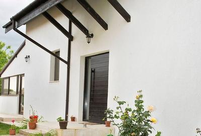 Casă individuală cu 11 camere cu Piscina în Apateu - 8