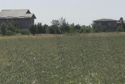 4 Loturi Teren de 440 mp  Domnesti-Teghes.+ 195mp Drum servitute =635 mp - 10