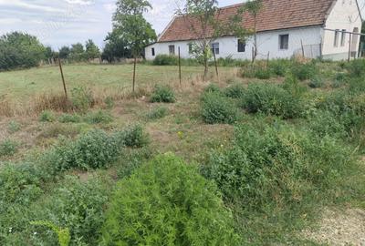 Proprietar vand casa la Cenei jud.Timis - 8