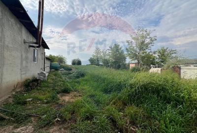 Teren Construcții intravilan de 3888 mp, în Gologanu - 6