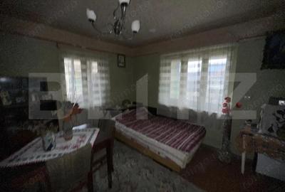 Teren 3000 mp + 2 case de vanzare-Ca?eiu - 1