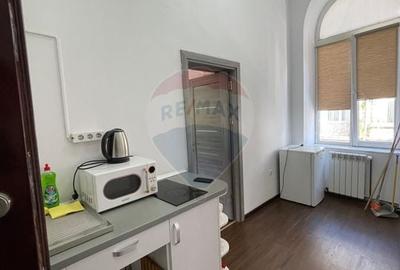 Apartament cu 3 camere de inchiriat Unirii - 8