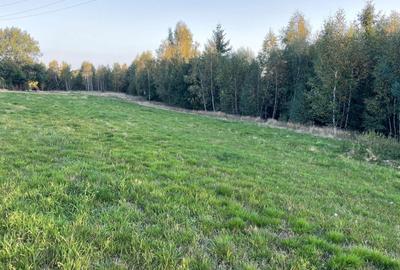 Spațiu comercial, în Dealu Mare - 5