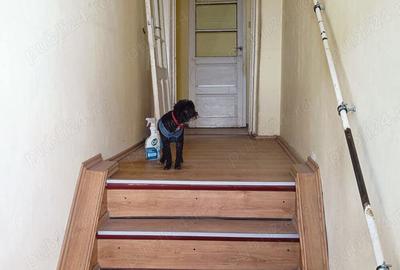 Vand casa Pitesti FRATII GOLESTI - 5