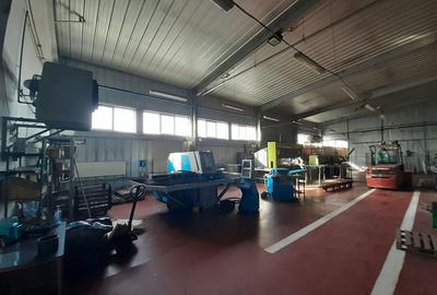 Birouri, hala si teren situate la sosea, zona Magurele, sector 5 - 19
