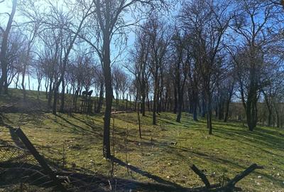 Casă cu 3 camere cu Teren 1565 Mp în Sângătin - 7