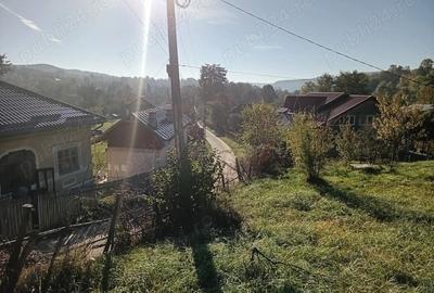 Teren de 1028 mp, în Băcești - 9