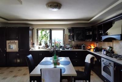 Vila superba in Snagov langa padure - 20