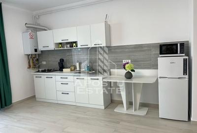 Apartament cu 1 camera mobilat si utilat in Giroc la asfalt. - 3