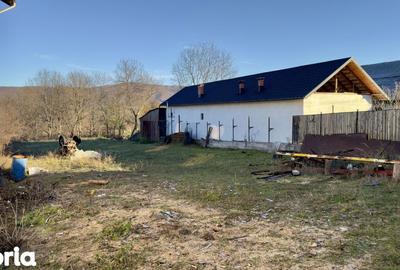 Casă cu 5 camere cu Teren 1186 Mp în Pietroșani - 3