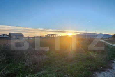 Teren extravilan, 4000 mp, zona Arex - 1