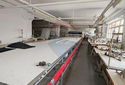 Birou, de 1,100 mp, în Lăpuș - 27