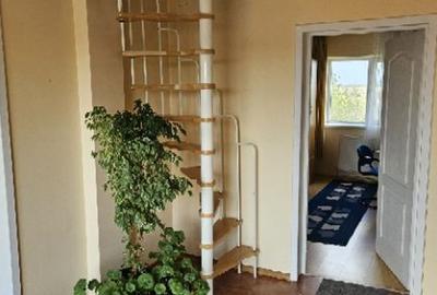 Ciopani vila 5 camere teren 4000 mp - 16