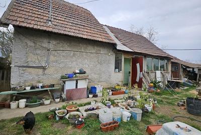 Casă cu 2 camere în Biharia - 2