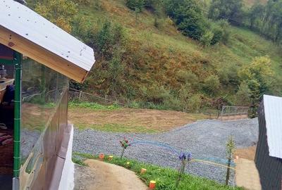 Casa de vanzare in Bistra -3800 mp teren - 4