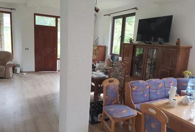 Vand casa in satul de vacanta Groseni judetul Arad - 10