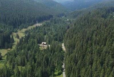 Vindem casa din grinzi pe malul paraului Vindem casa din grinzi pe malul paraului - 8