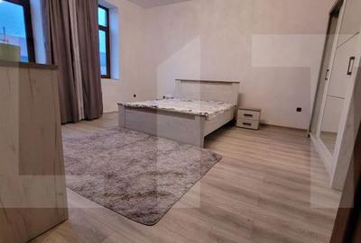 Casă cu 4 camere cu Teren 1475 Mp în Teremia Mare - 13