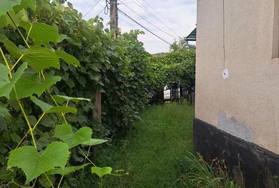 Casă cu 3 camere cu Teren 1400 Mp în Gâlgău - 3