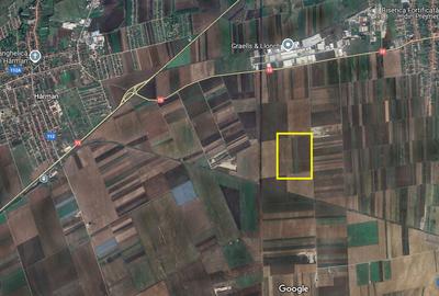 Teren agricol extravilan de 15000 mp, în Prejmer