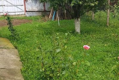 Casă cu 4 camere cu Teren 400 Mp în Tansa - 7