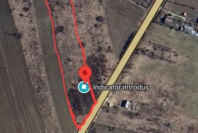 Teren de 15000 mp, în Schitu Duca - 2