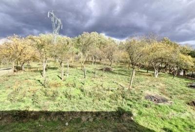 Casă cu 3 camere cu Teren 1620 Mp în Zigoneni - 3