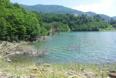 Teren Construcții intravilan de 73000 mp, în Siriu - 2