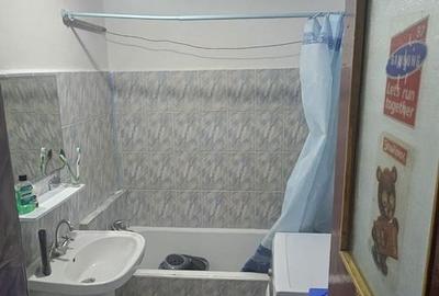 Apartament cu 2 camere decomandat, mobilat în 1 Decembrie 1918 - 3