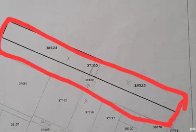 Teren de 4600 mp, în Bujoreni - 8
