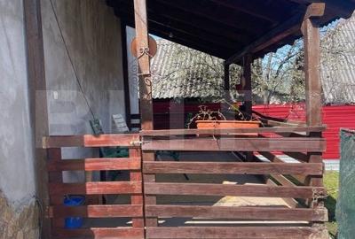 Casa cu 3 camere, 90 mp, 2 anexe gospodaresti si teren de 3000 mp, zona Crucisor - 18