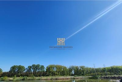 Teren 18 hectare - Scheia - Apa Sucevei! - 10