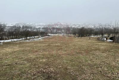 CASĂ DE VÎNZARE ÎN ILOVA\7 CAMERE, JUD.CARAȘ-SEVERIN - 8