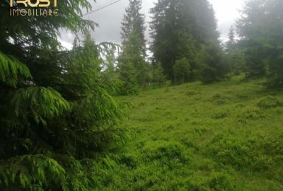 Teren de vanzare, Belis,1300mp, Strada principala, Intravilan - 1